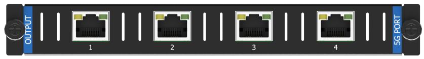 X100 PRO - Output Board
